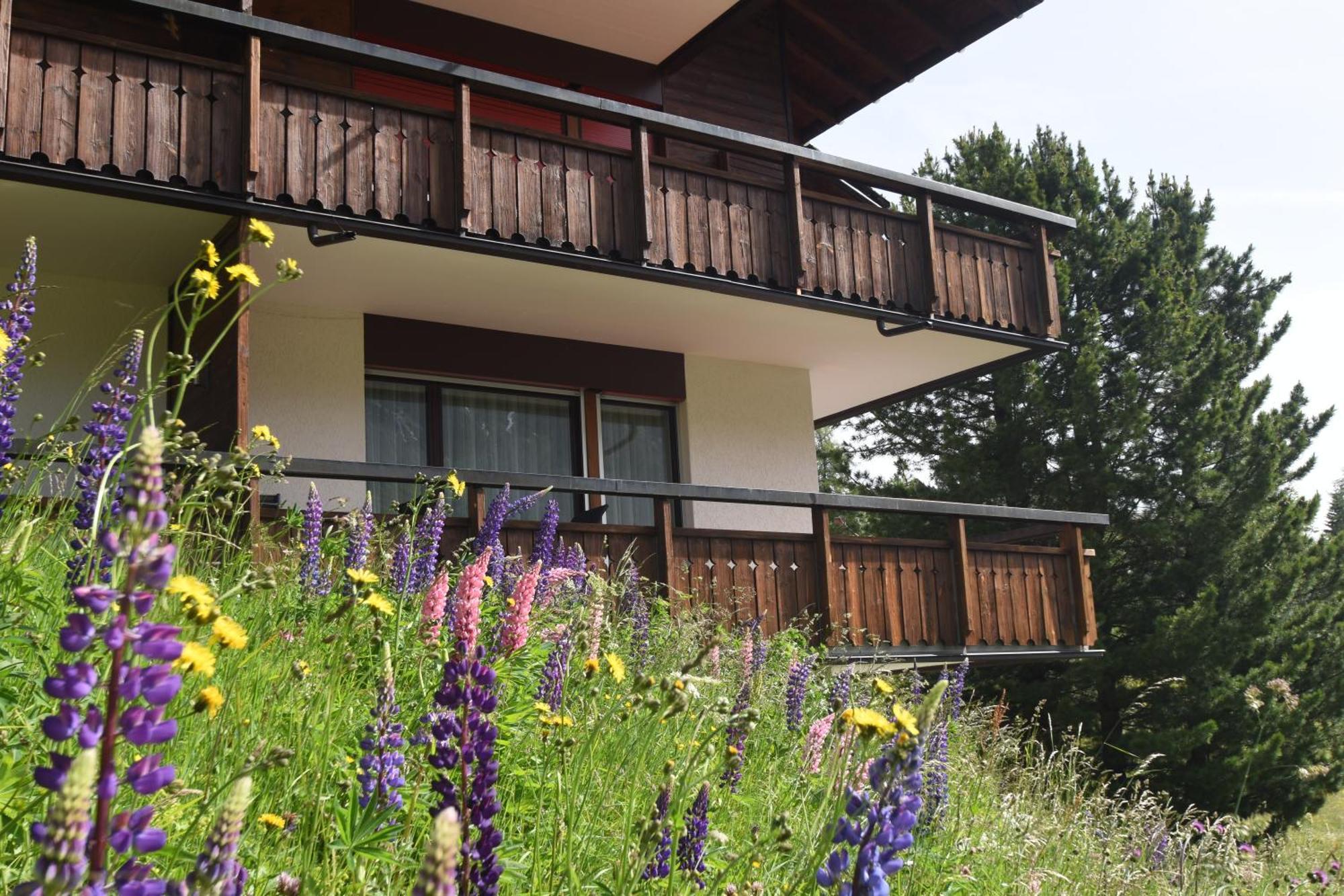 Chalet Christina 7 Arosa Ngoại thất bức ảnh